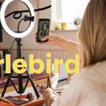 Urlebird