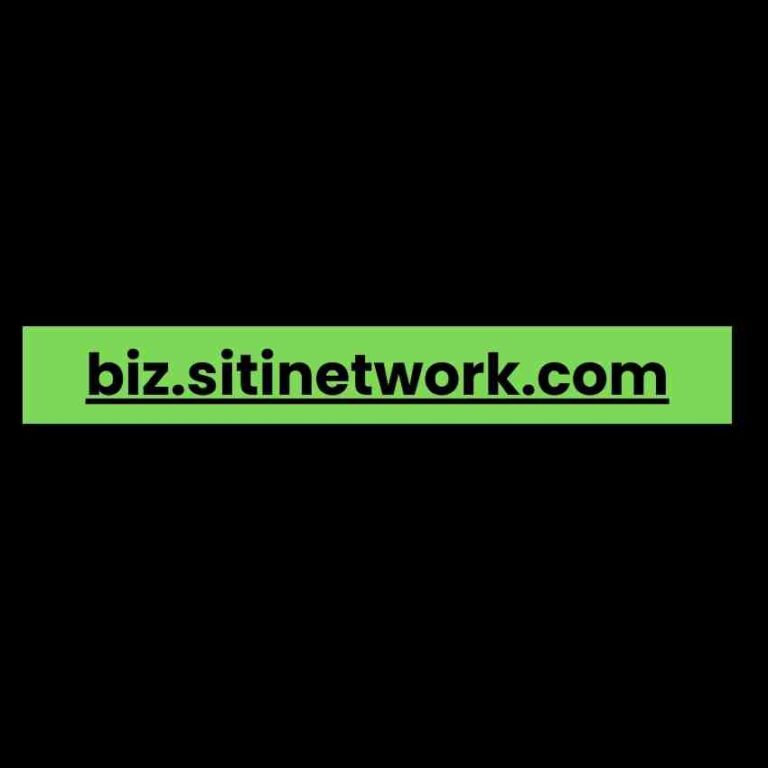 biz.sitinetwork.com