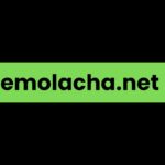 Remolacha.net