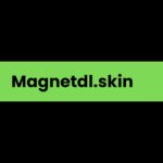 Magnetdl.skin