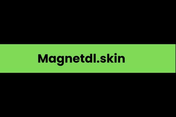 Magnetdl.skin