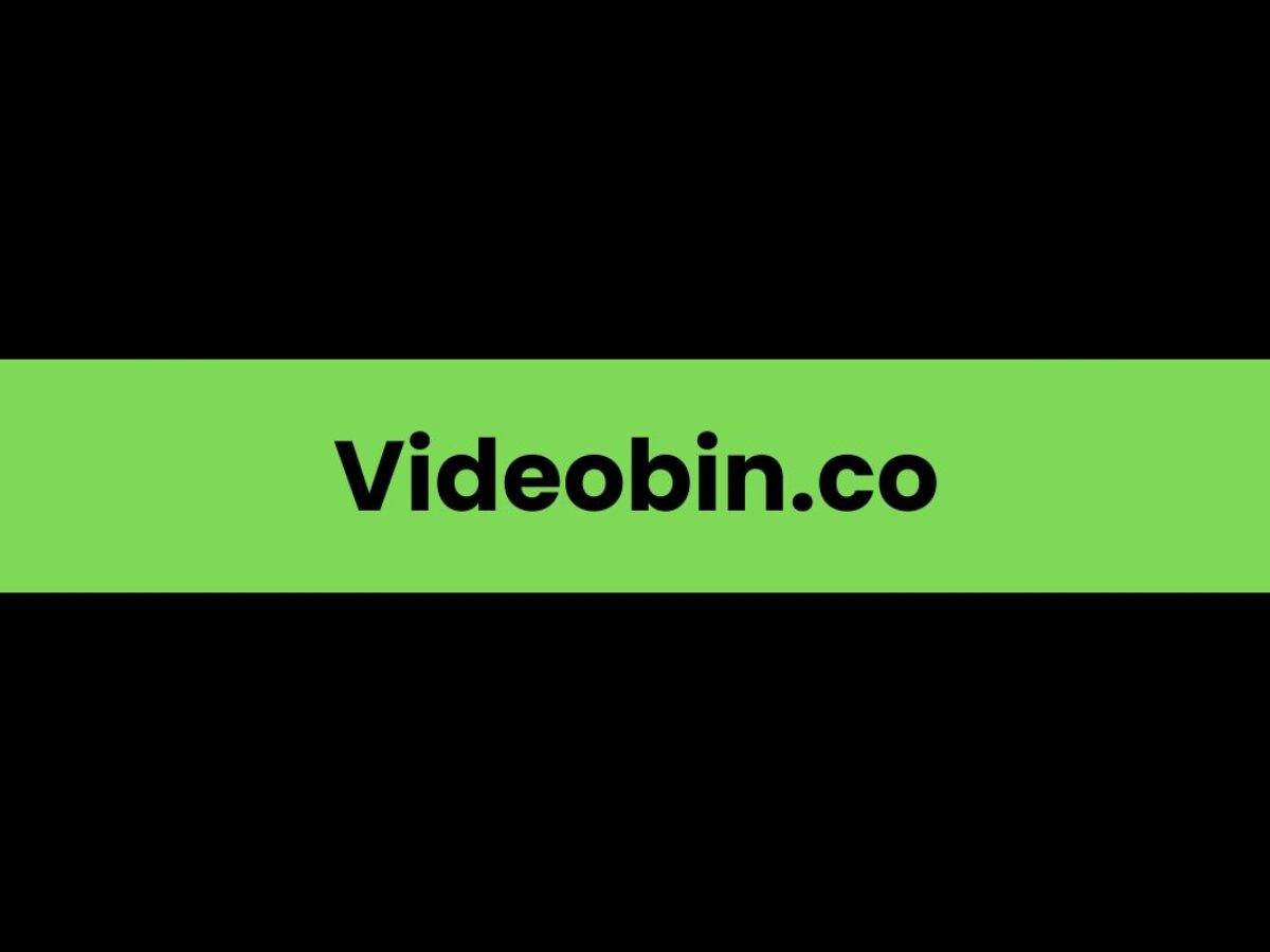 videobin.co: A Comprehensive Overvie - Blogg