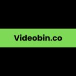 Videobin.co