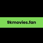 9kmovies.fan