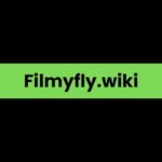 Filmyfly.wiki