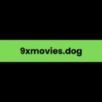 9xmovies.dog